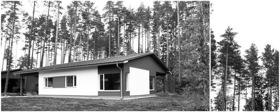 Randivälja tee 8, Tammiste