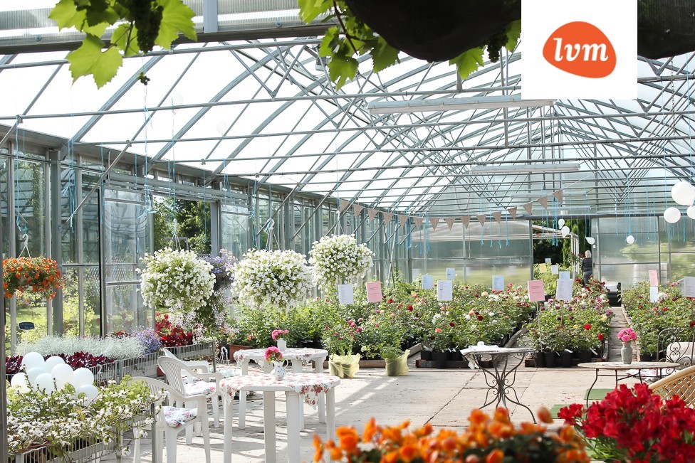 Põltsamaa roosiaed pandi müüki