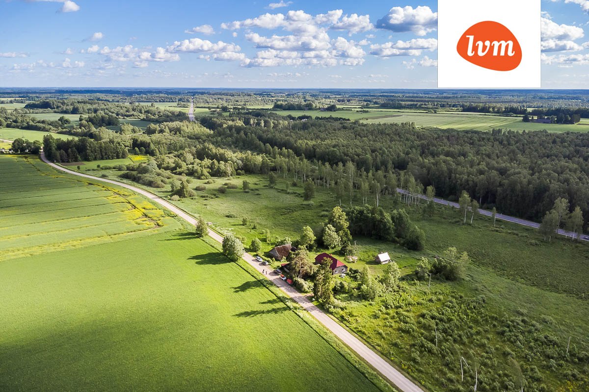 Koid söövad sajalisi? Filmilkassika aitab